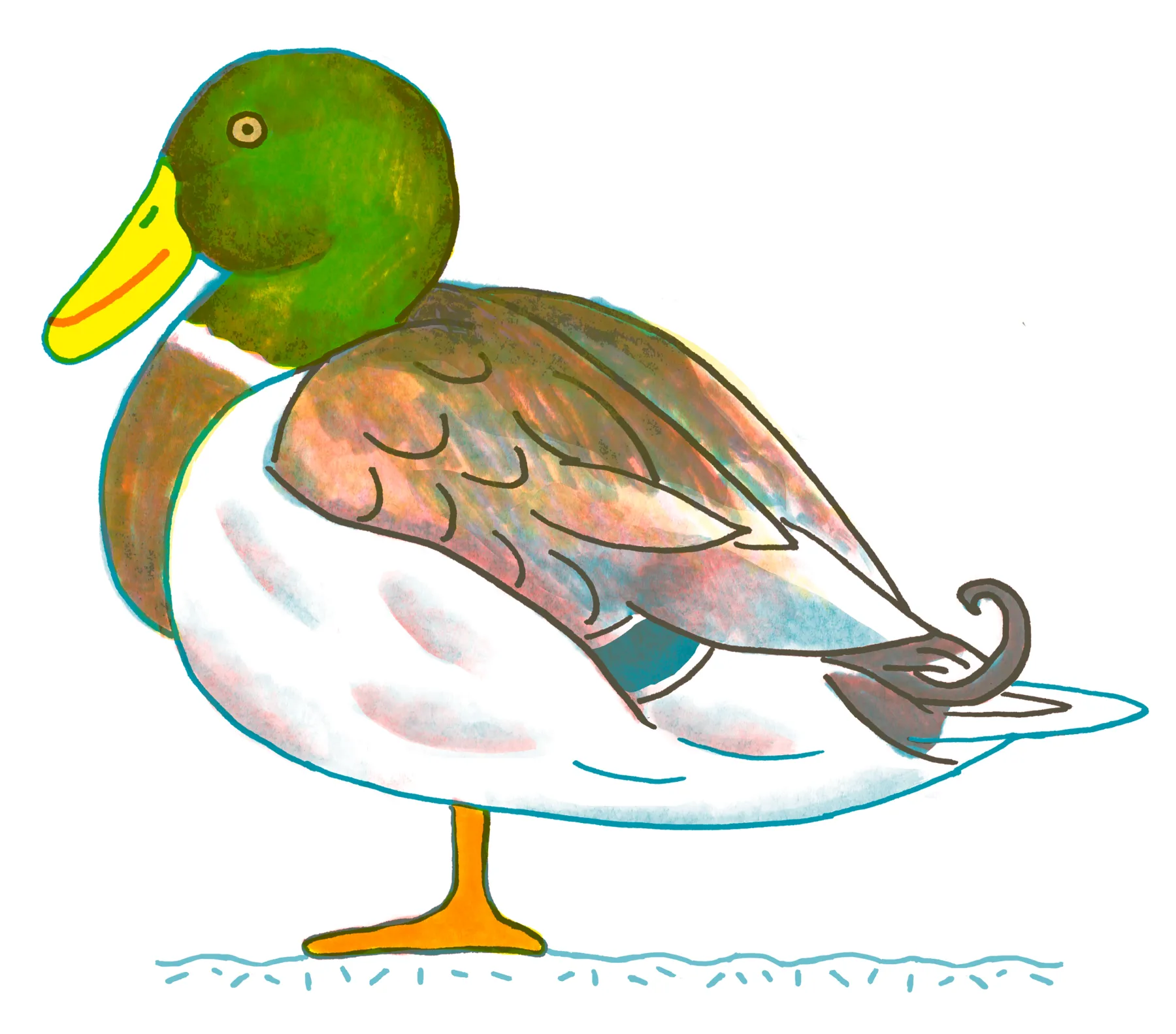 Mallard