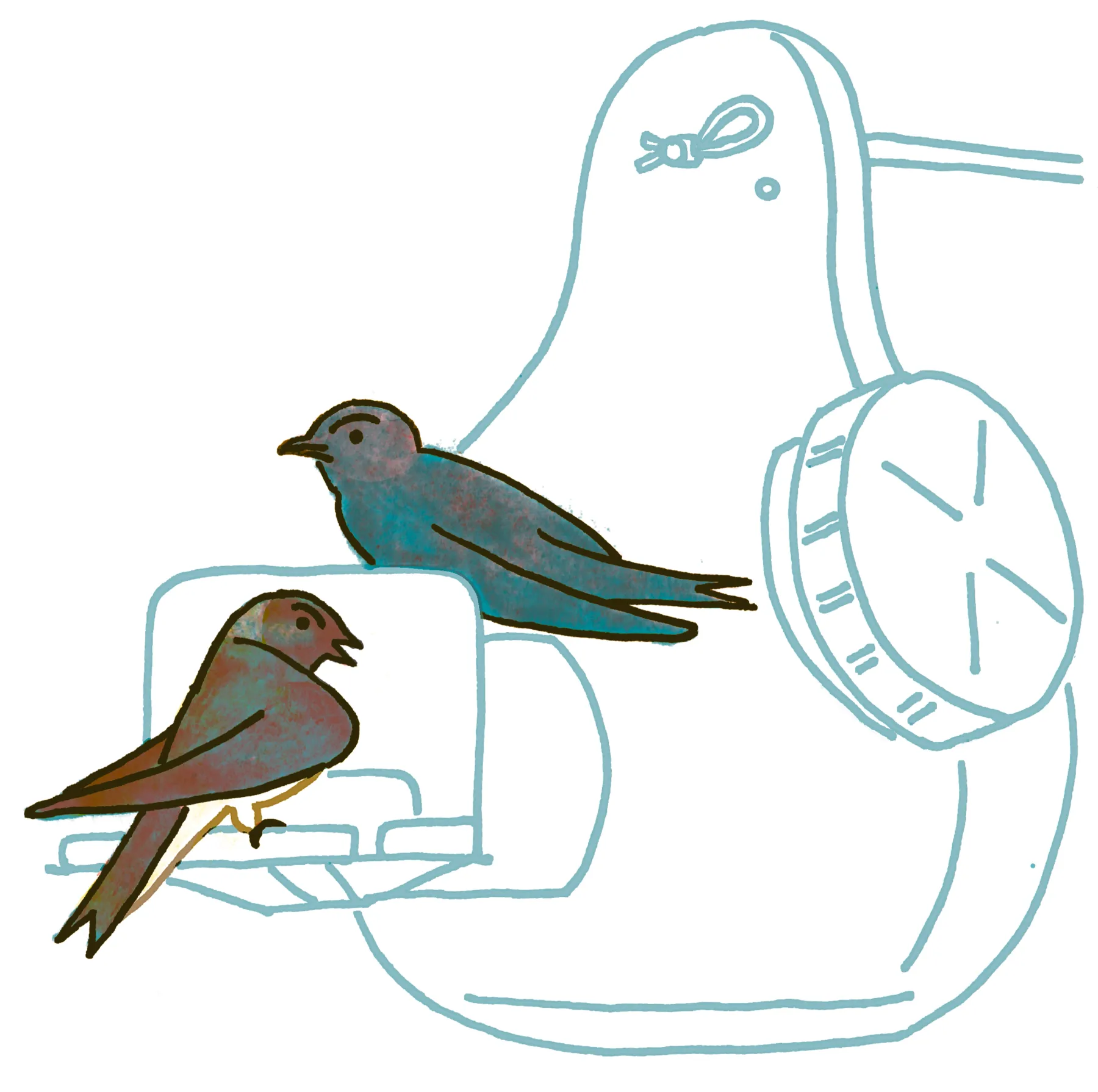 Purple Martin