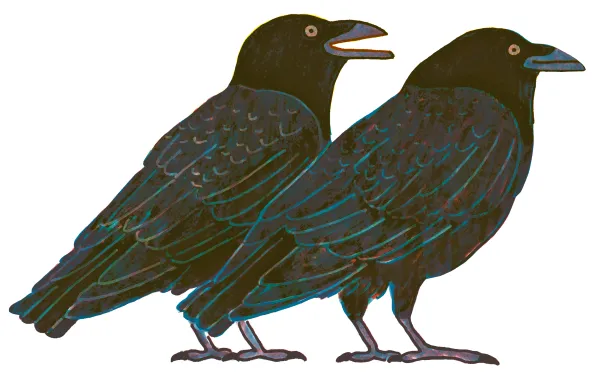 Fish Crow